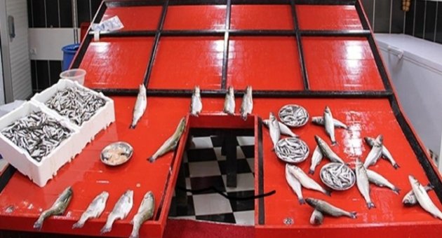Balık Tezgahları Boş Kaldı