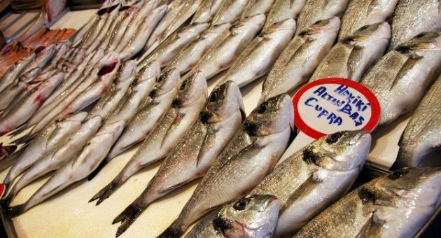 Balık Ucuzladı, Vatandaşın Yüzü Güldü
