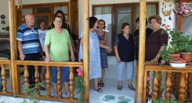 Balıkesir’de Başıboş Köpekler Çocuğu Yaraladı