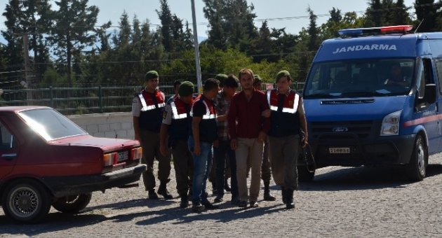 Balıkesir’de Büyükbaş Hayvan Hırsızları Yakalandı