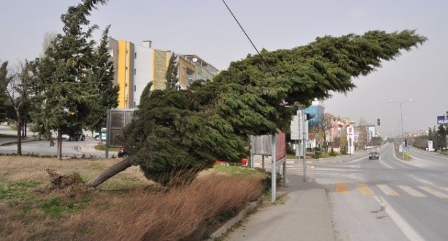 Balıkesir’de Fırtına Felaketi