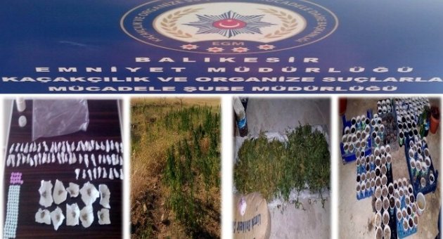 Balıkesir’de Geniş Çaplı Uyuşturucu Operasyonları Yapıldı