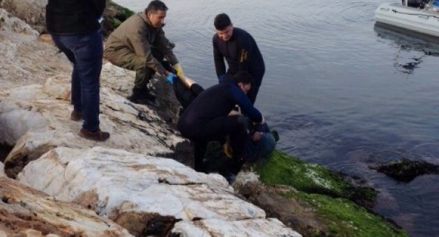 Balıkesir’de Kaybolan Balıkçı Ölü Bulundu