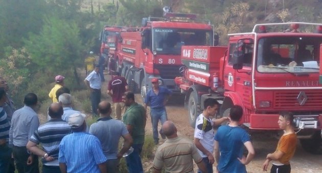 Balıkesir’de Orman Yangını...