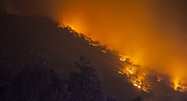 Balıkesir’de Orman Yangını Büyüyor
