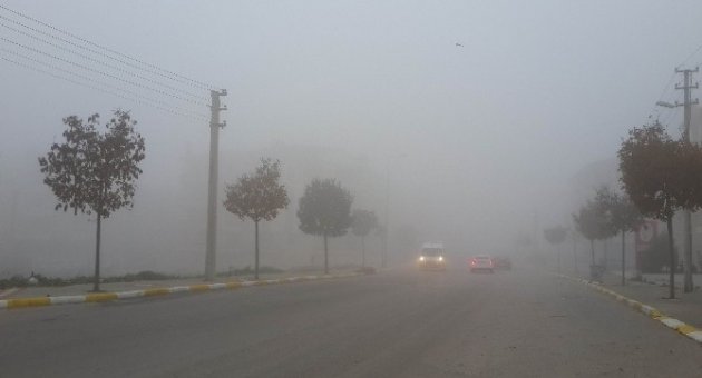 Balıkesir’de Sis Hayatı Olumsuz Etkiledi