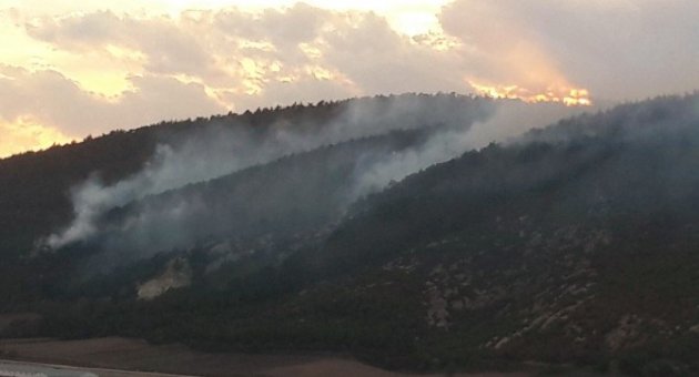 Balıkesir’in Ciğerleri Yok Olmadan Müdahale