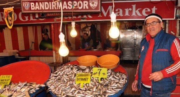 Bandırma’da Balık Bereketi