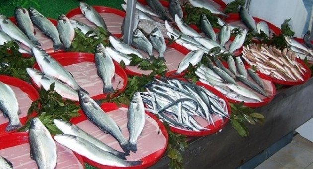 Bandırma’da Palamut Fiyatları Düştü
