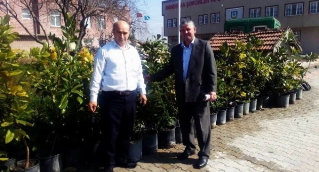 Bandırma’daki Meslek Odasından Yeşile Destek
