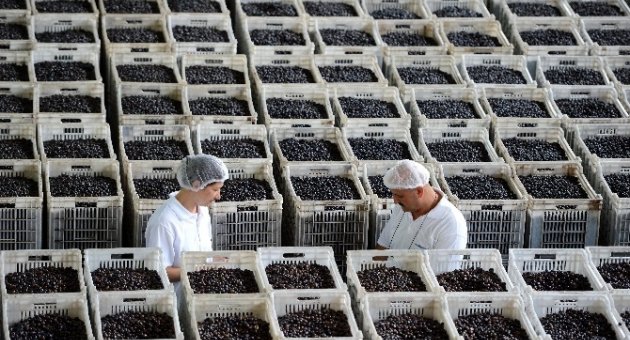 Başkan Asa’dan ’halkalı Leke’ Uyarısı