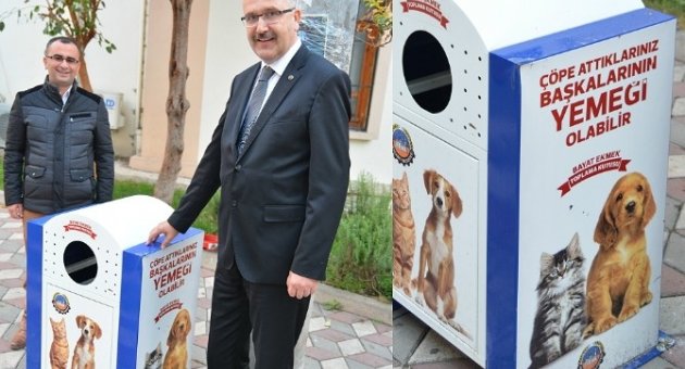 Bayat Ekmekler Sokak Hayvanları İçin Toplanıyor
