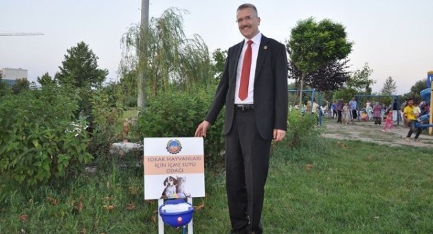 Belediyeden Sokak Hayvanlarına Şefkat Eli
