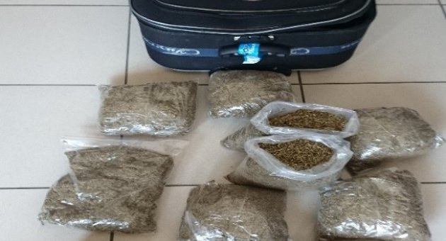 Beş Gram Bonzai İle Uyuşturucu Çetesi Çökertildi
