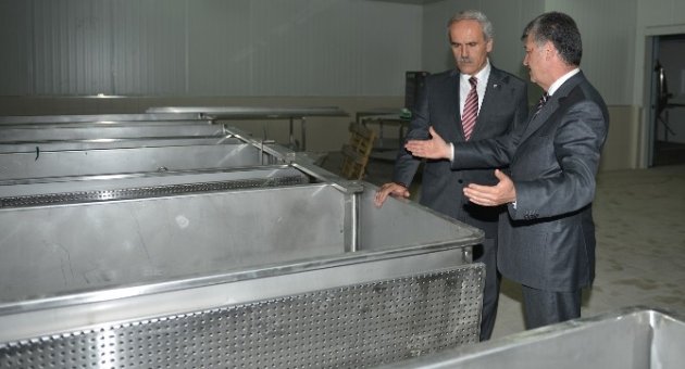 Besaş Beyaz Peynir Üretimine Başlıyor
