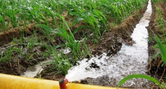 Beydağ Sulaması’nda Hidrant Sayısı 476’ya Yükseldi