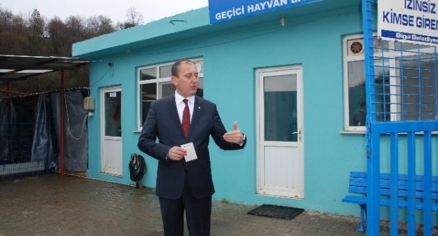 Biga Belediyesi’nden Asılsız Hayvan Barınağı Haberlerine Tepki