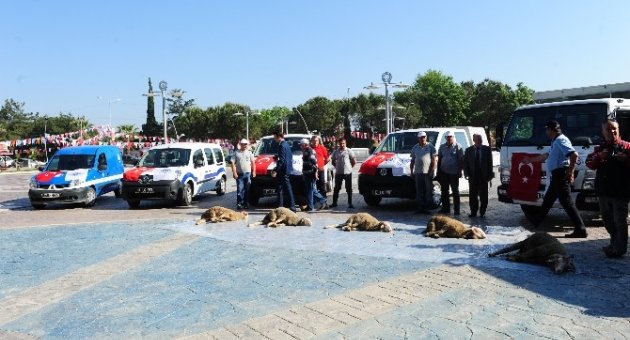 Biga Belediyesine Yeni Araçlar Alındı