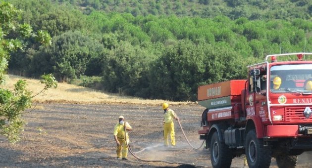 Biga’da Anız Yangını