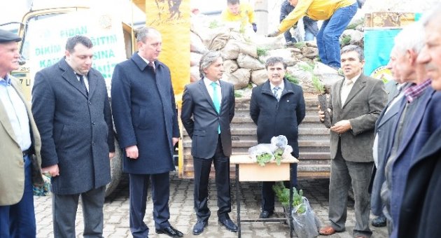 Biga’da On Bin Fidan Dağıtıldı