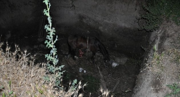 Bir Çukurdan Çıkarıldı Diğer Çukura Düştü