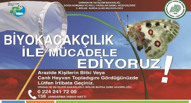 Biyo Kaçakçılıkla Mücadele Aralıksız Devam Ediyor
