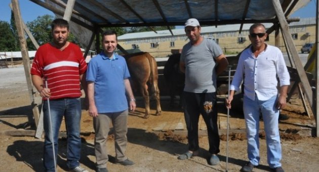 Boğa Yakalama Timi