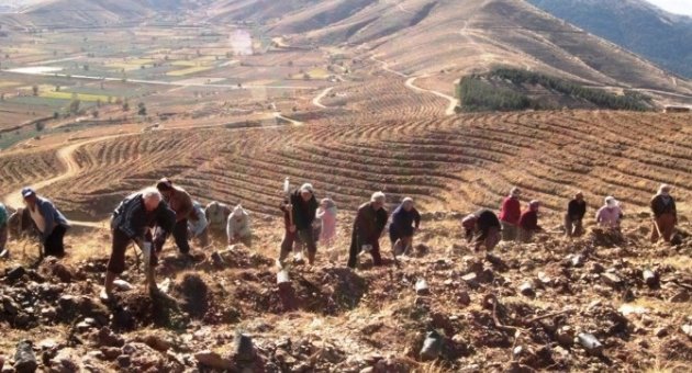 Bozdağ’a 5 Yılda 1 Milyon 200 Bin Fidan