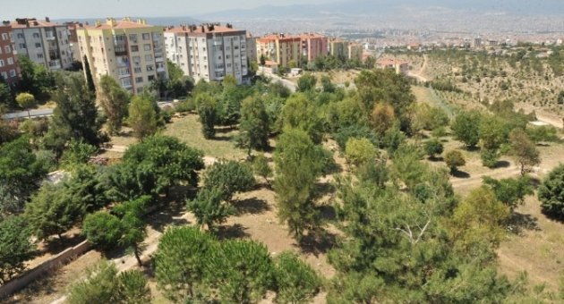 Buca’ya Özel Park