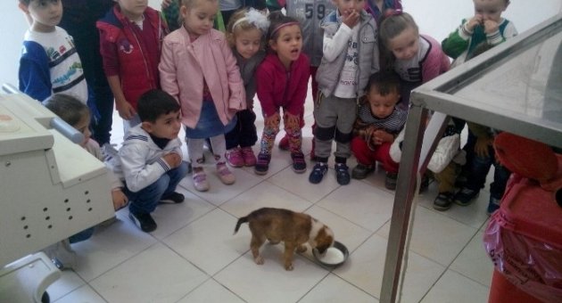 Burhaniye Köpek Barınağının Minik Ziyaretçileri