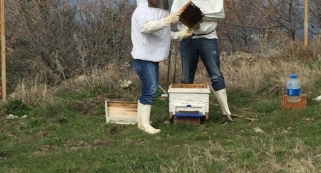 Burhaniye’de Arıcılara Tarımcı Desteği