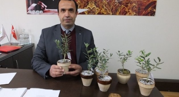 Burhaniye’de Biyolojik Mücadele Desteklemesi
