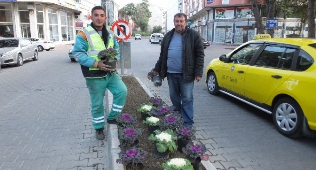 Burhaniye’de Caddelere Süs Lahanası