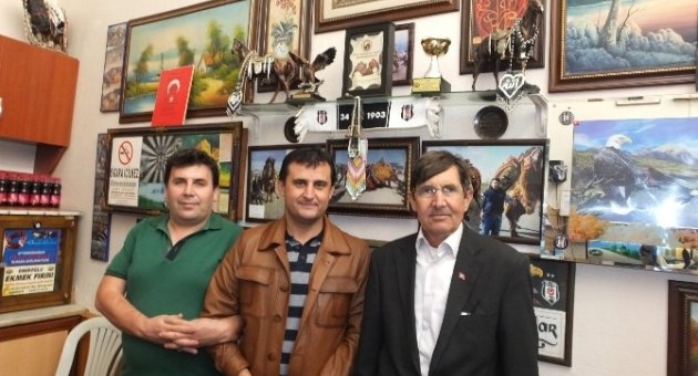 Burhaniye’de Deve Güreşleri 31 Ocak’ta Yapılacak
