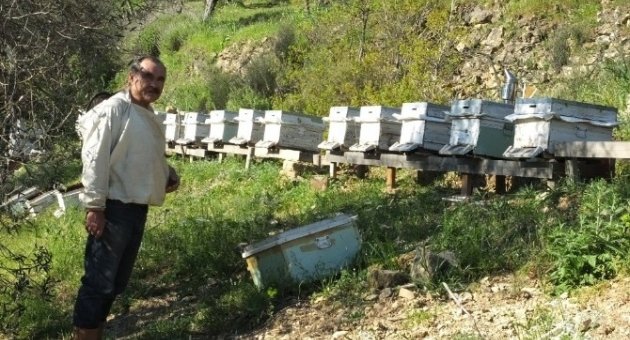 Burhaniye’de Emekli Ziraatçı Örnek Arıcı Oldu