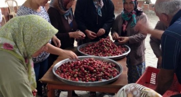 Burhaniye’de Kırtıklı Kadınlar Organik Reçel Yapımını Öğrendi