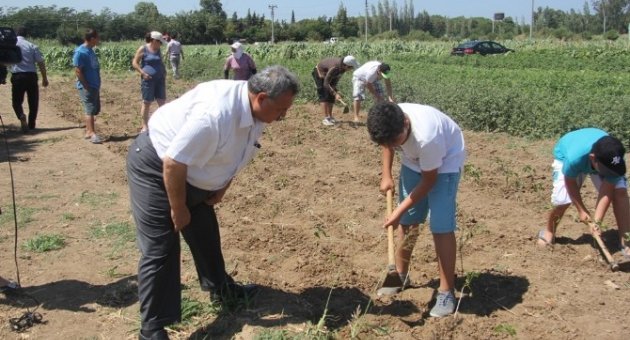 Burhaniye’de Öğrenciler Sebze Üretmeyi Öğreniyor