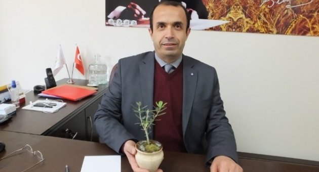 Burhaniye’de Zeytinyağı Ortak Akıl Toplantısı Yapılacak