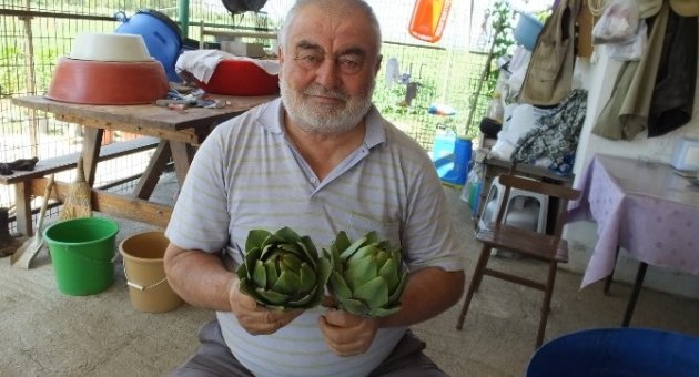 Burhaniyeli Çiftçi Her Mevsim Enginar Satıyor