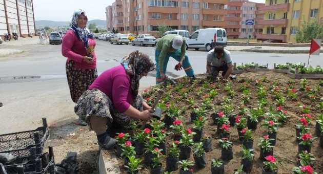 Burhaniye’yi Kadınlar Güzelleştiriyor