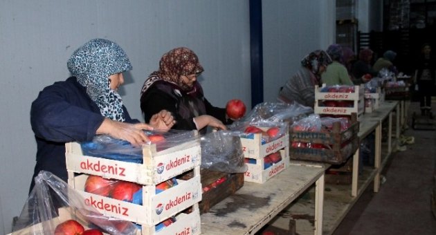 Bursa Narı Avrupa’nın Gözdesi