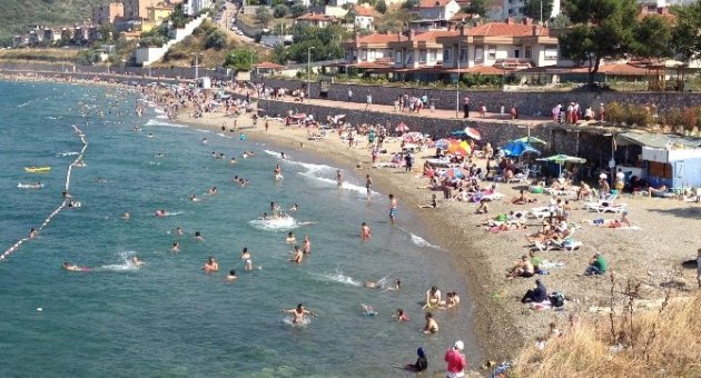 Bursa Sahilleri’nden Sevindiren Haber