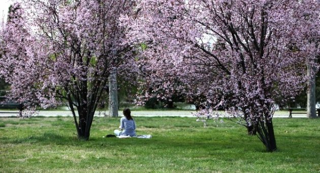 Bursa Yaşam Kalitesi İle Dünya Liginde