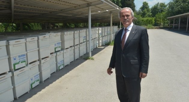 Bursa’da Arı Yetiştiricilerine 450 Kovan Dağıtıldı