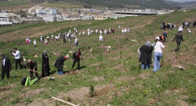 Bursa’da Bereket Ormanları Kuruldu
