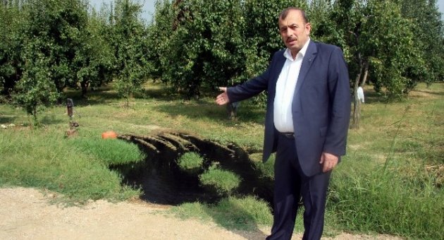 Bursa’da Don Korkusu