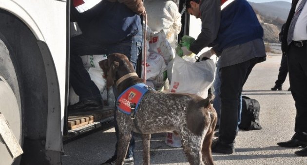 Bursa’da Geniş Çaplı Asayiş Operasyonu