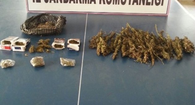 Bursa’da İki Ayrı Operasyonda 835 Gram Esrar Ele Geçirildi