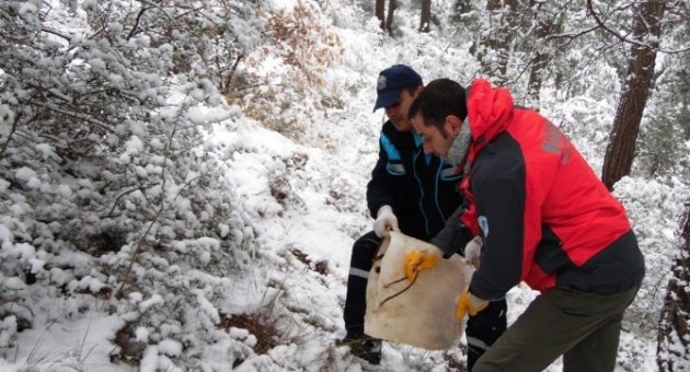 Bursa’da Karda Aç Kalan Yaban Hayvanlarına Yem
