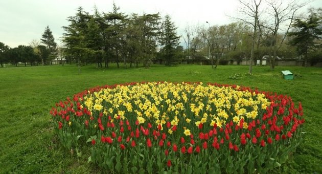 Bursa’da Lale Devri